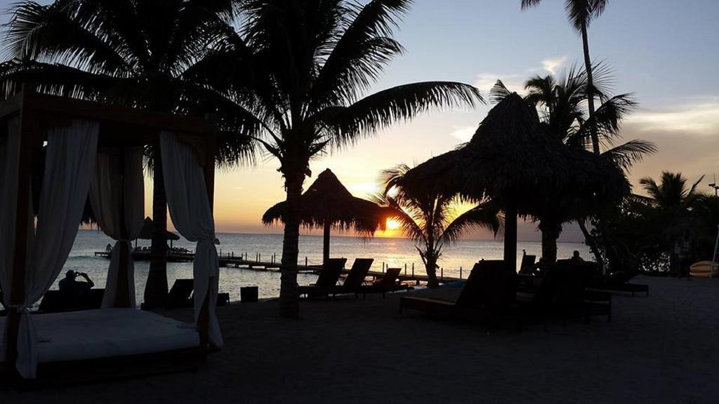 Cadaques Caribe Pez 103 Διαμέρισμα Bayahibe Εξωτερικό φωτογραφία