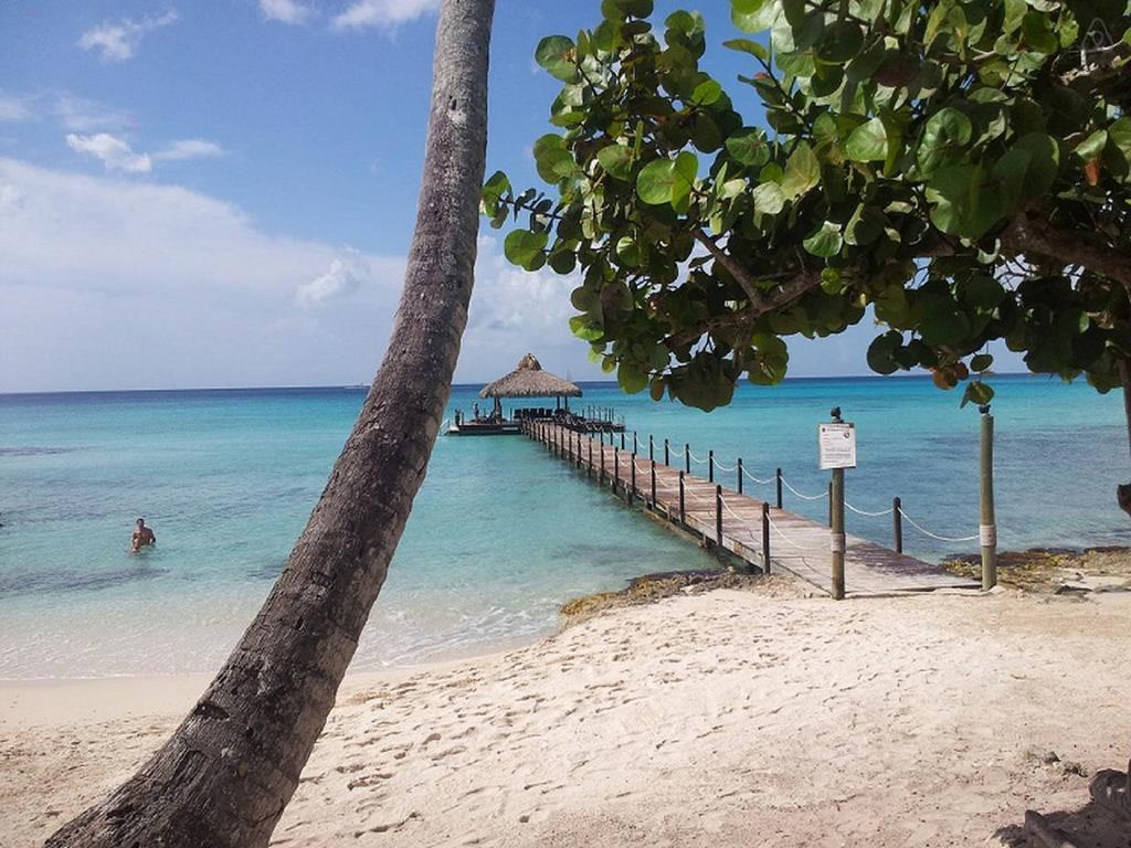Cadaques Caribe Pez 103 Διαμέρισμα Bayahibe Δωμάτιο φωτογραφία
