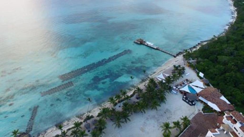 Cadaques Caribe Pez 103 Διαμέρισμα Bayahibe Εξωτερικό φωτογραφία