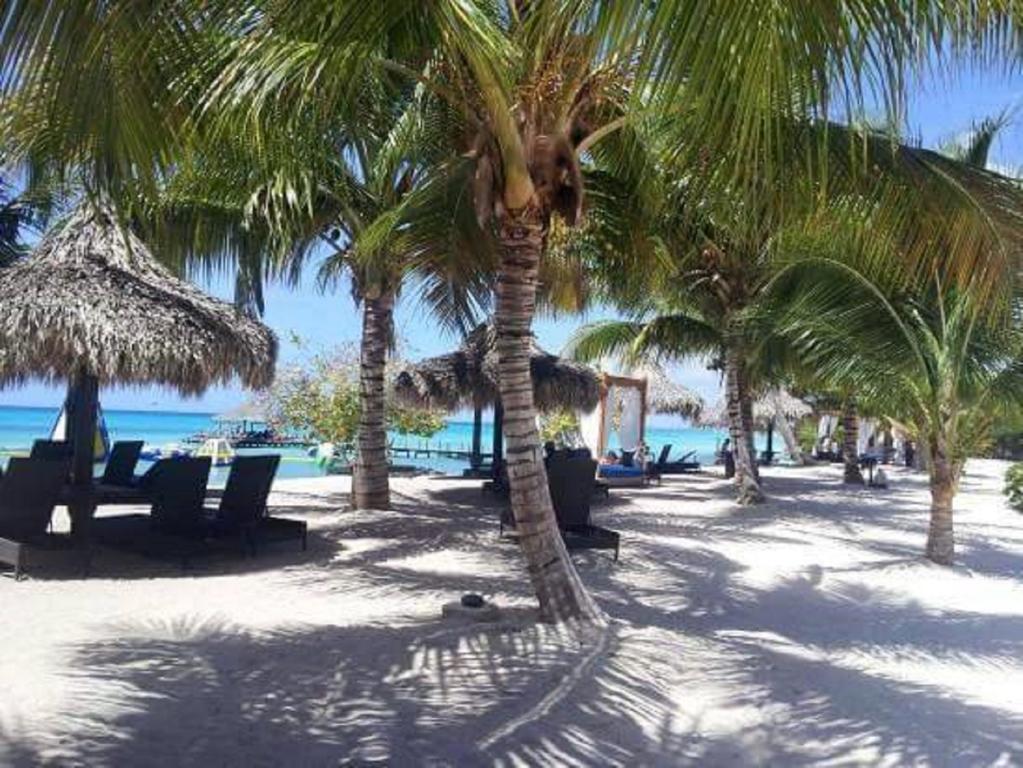 Cadaques Caribe Pez 103 Διαμέρισμα Bayahibe Εξωτερικό φωτογραφία