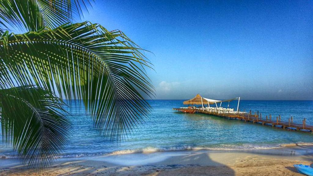 Cadaques Caribe Pez 103 Διαμέρισμα Bayahibe Εξωτερικό φωτογραφία
